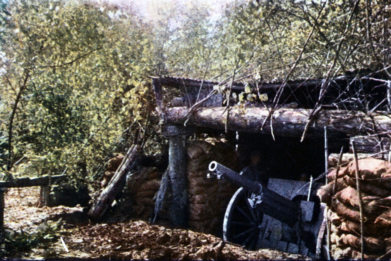 Verdun Muharebesi sırasında ağaçların altında kamufle edilmiş 75 mm