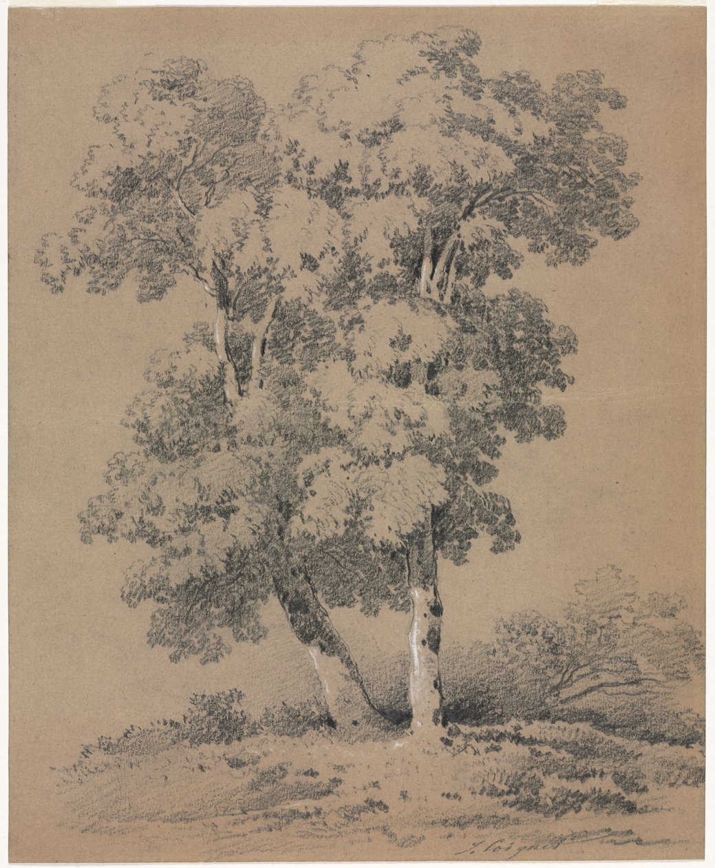 Ağaç Çalışması, 19. yüzyıl. by Jules Coignet