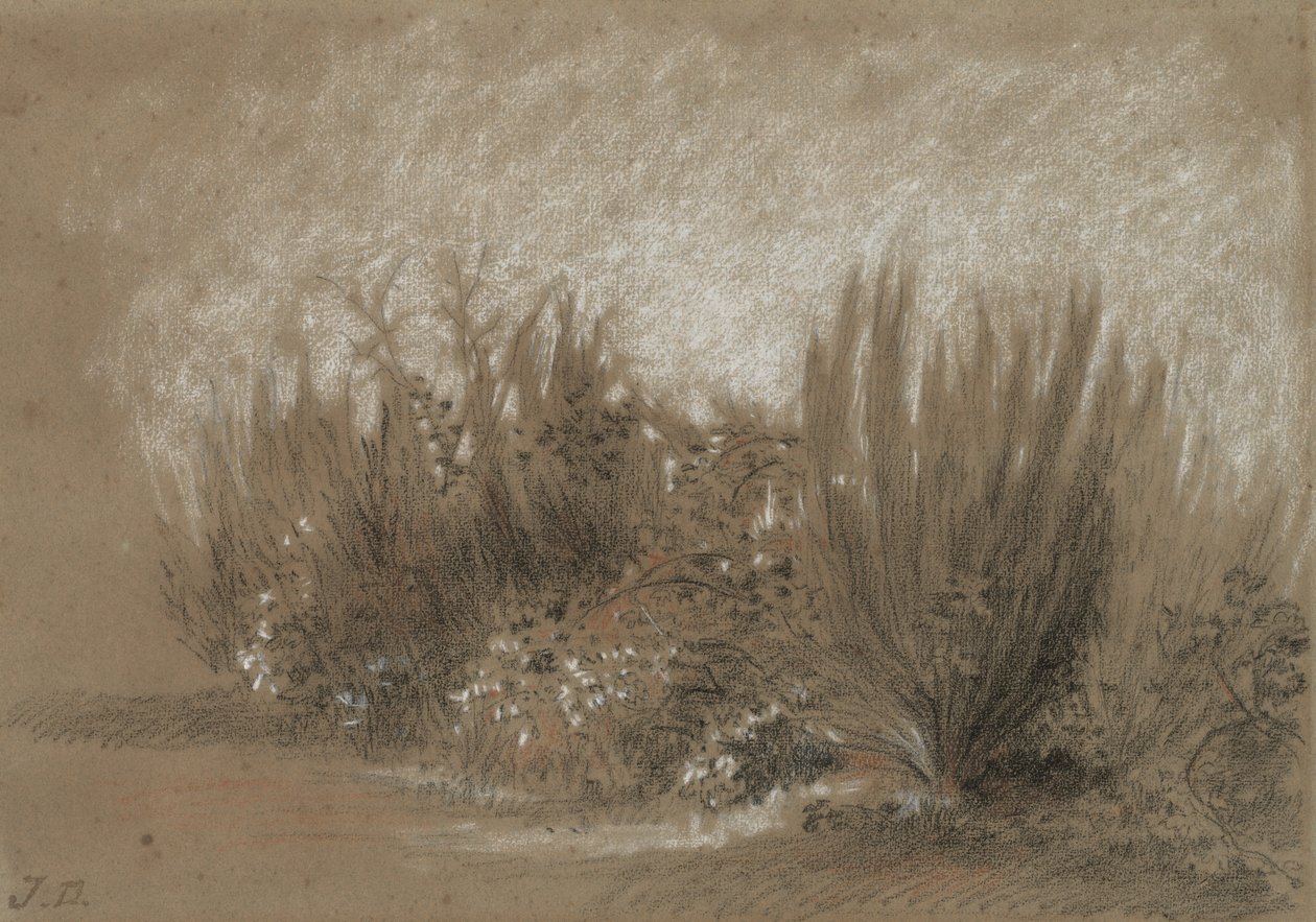 Süpürge ve Brambles by Jules Dupré
