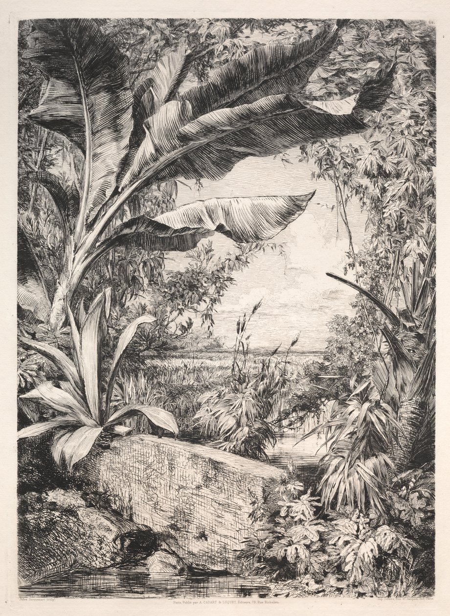 Sera Bitkileri by Jules Jacquemart