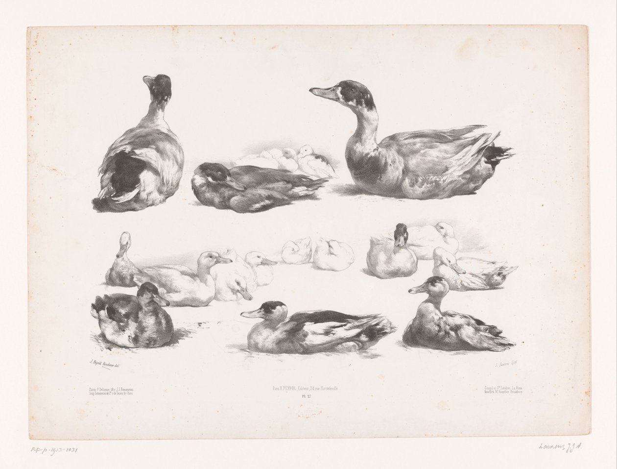 Yatan ördek gruplarının çalışmaları Hayvan çalışmaları (dizi başlığı) Petites études d'animaux (dizi başlığı) by Jules Joseph Augustin Laurens