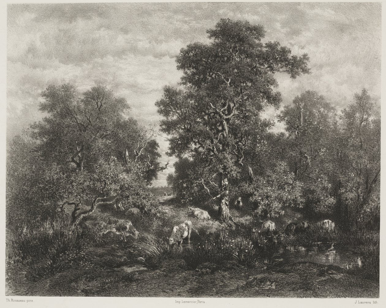 Gölet, Théodore Rousseau