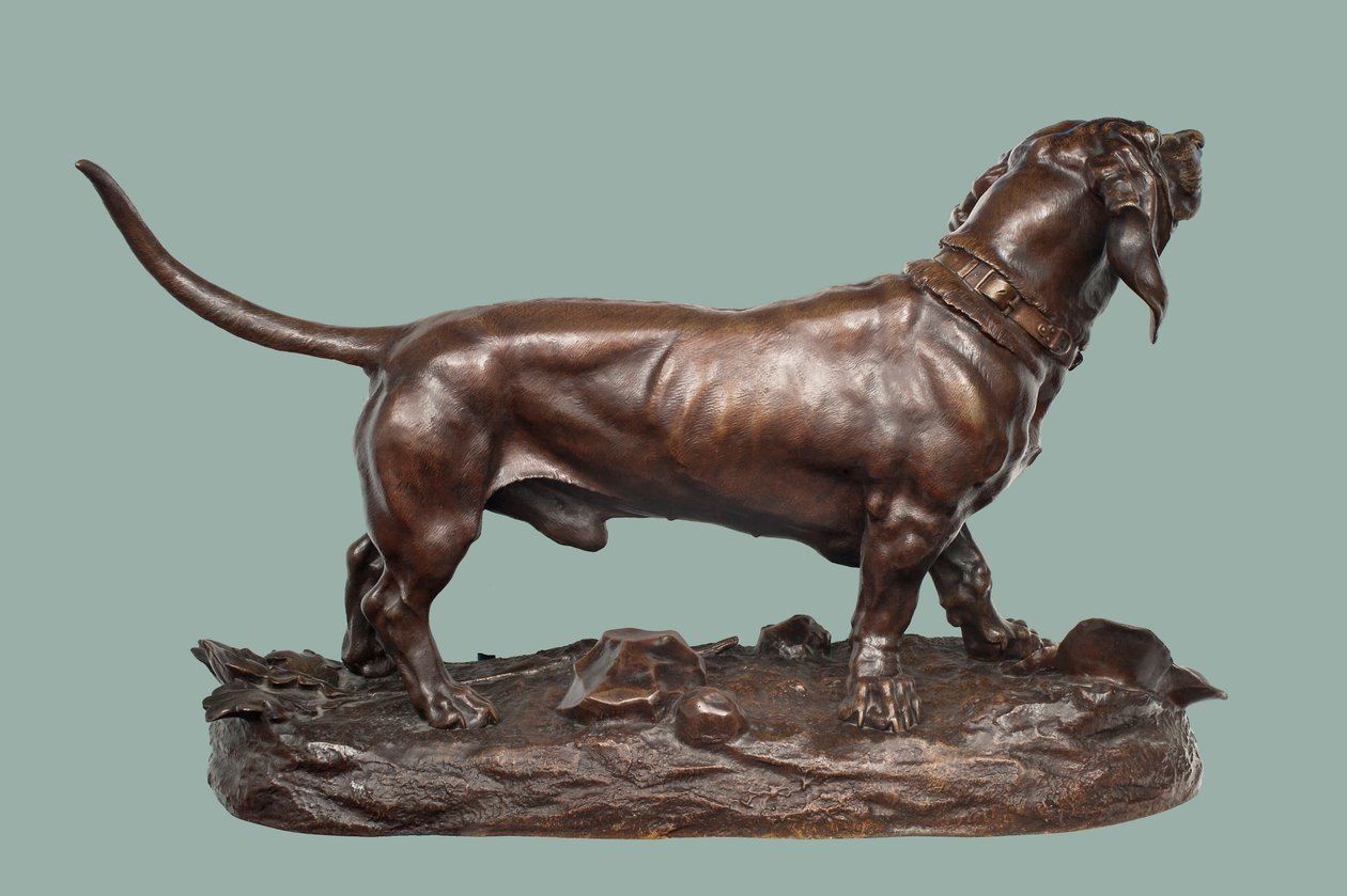 Bir Basset Hound (kahverengi patine ile bronz) by Jules Pierre Moigniez