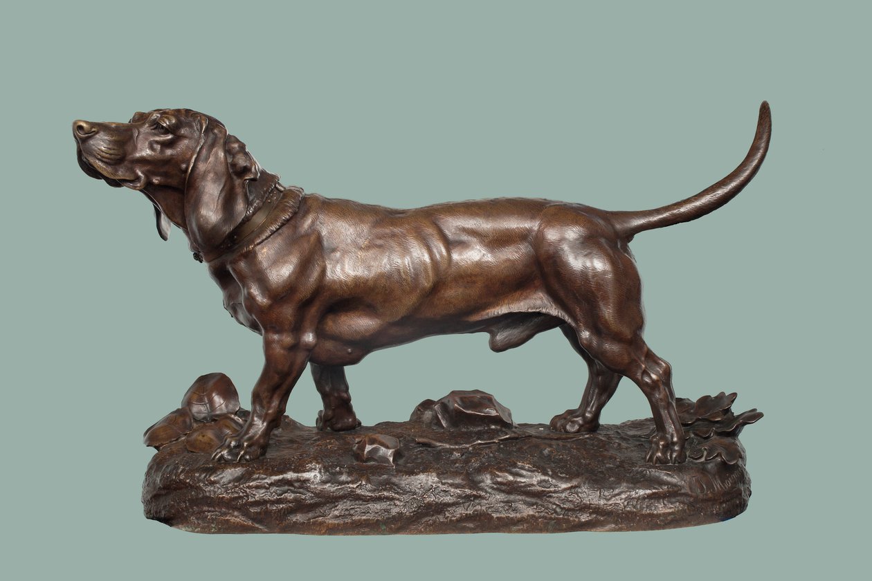Bir Basset Hound (kahverengi patine ile bronz) by Jules Pierre Moigniez