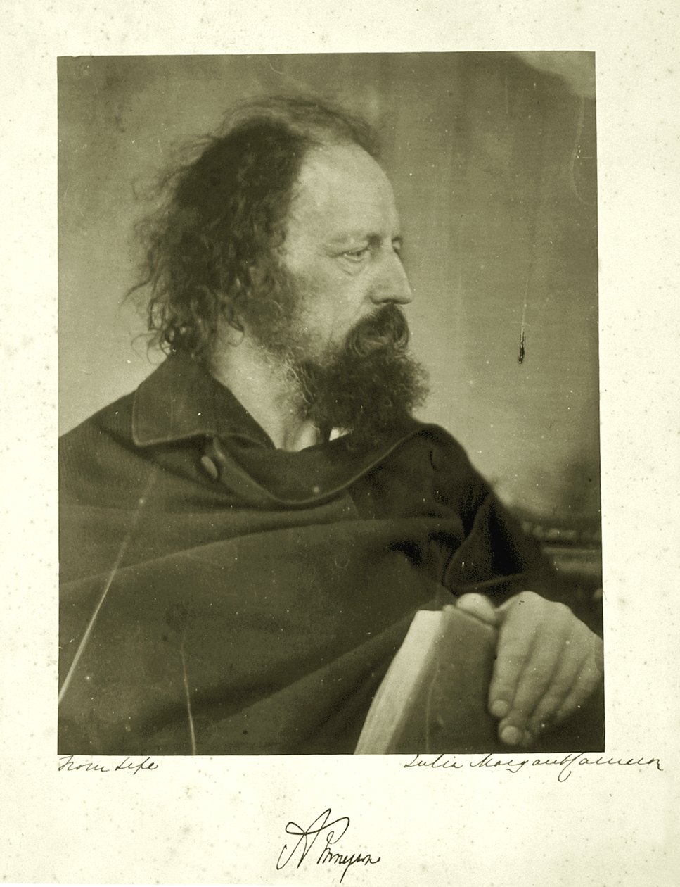 Alfred Tennyson, the Dirty Monk, 1865 (albüm baskısı) by Julia Margaret Cameron