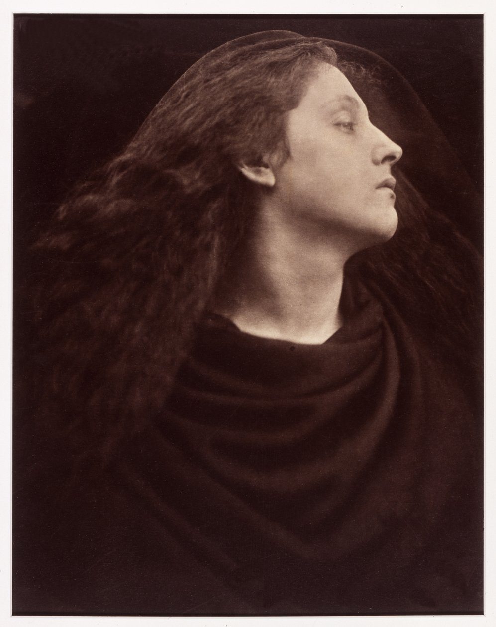 Ara, Takip Ederim, Takip Ederim, Ölmeme İzin Ver!, c.186575 by Julia Margaret Cameron