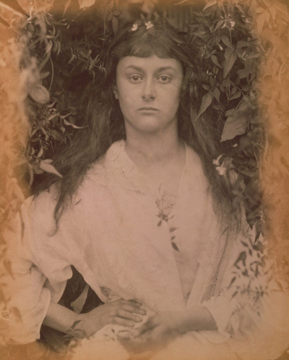 ಪೊಮೊನಾ, 1872 ಟರ್ಕ್ by Julia Margaret Cameron