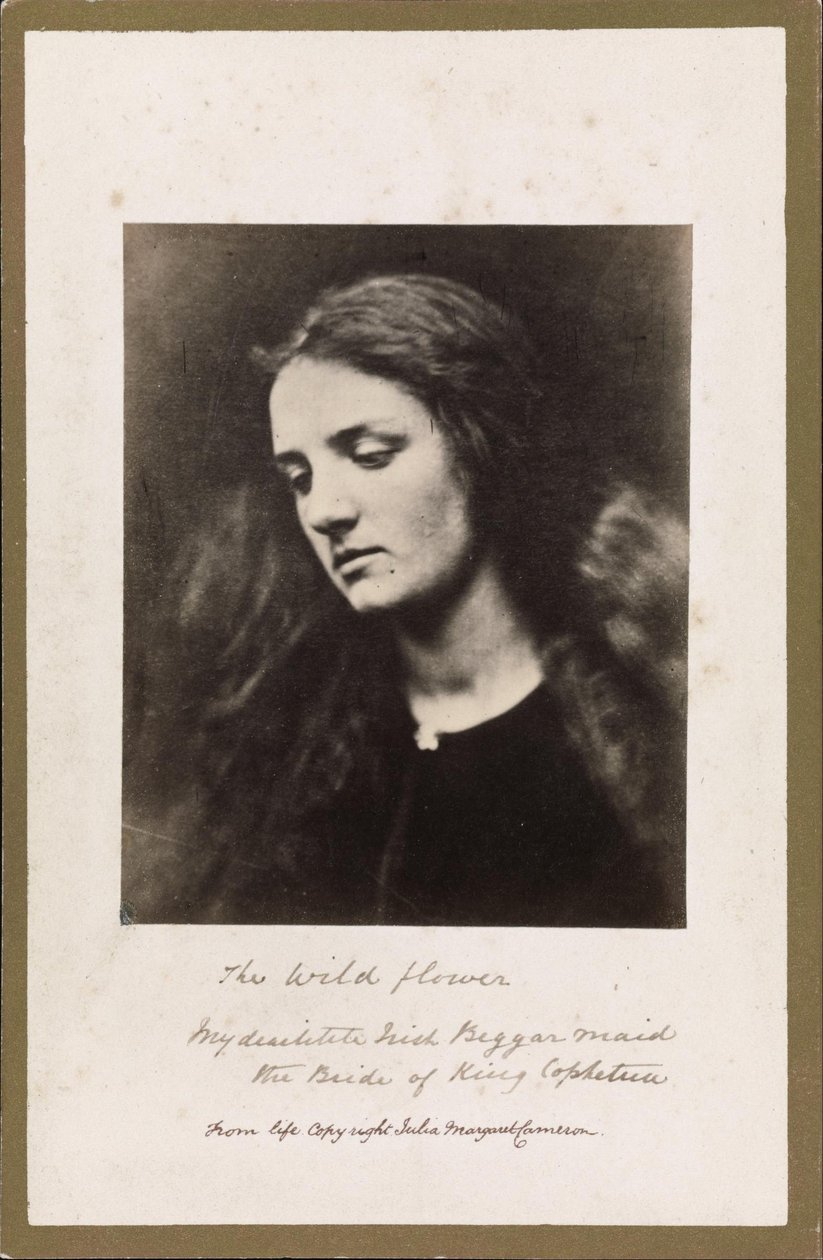 Yabani Çiçek by Julia Margaret Cameron