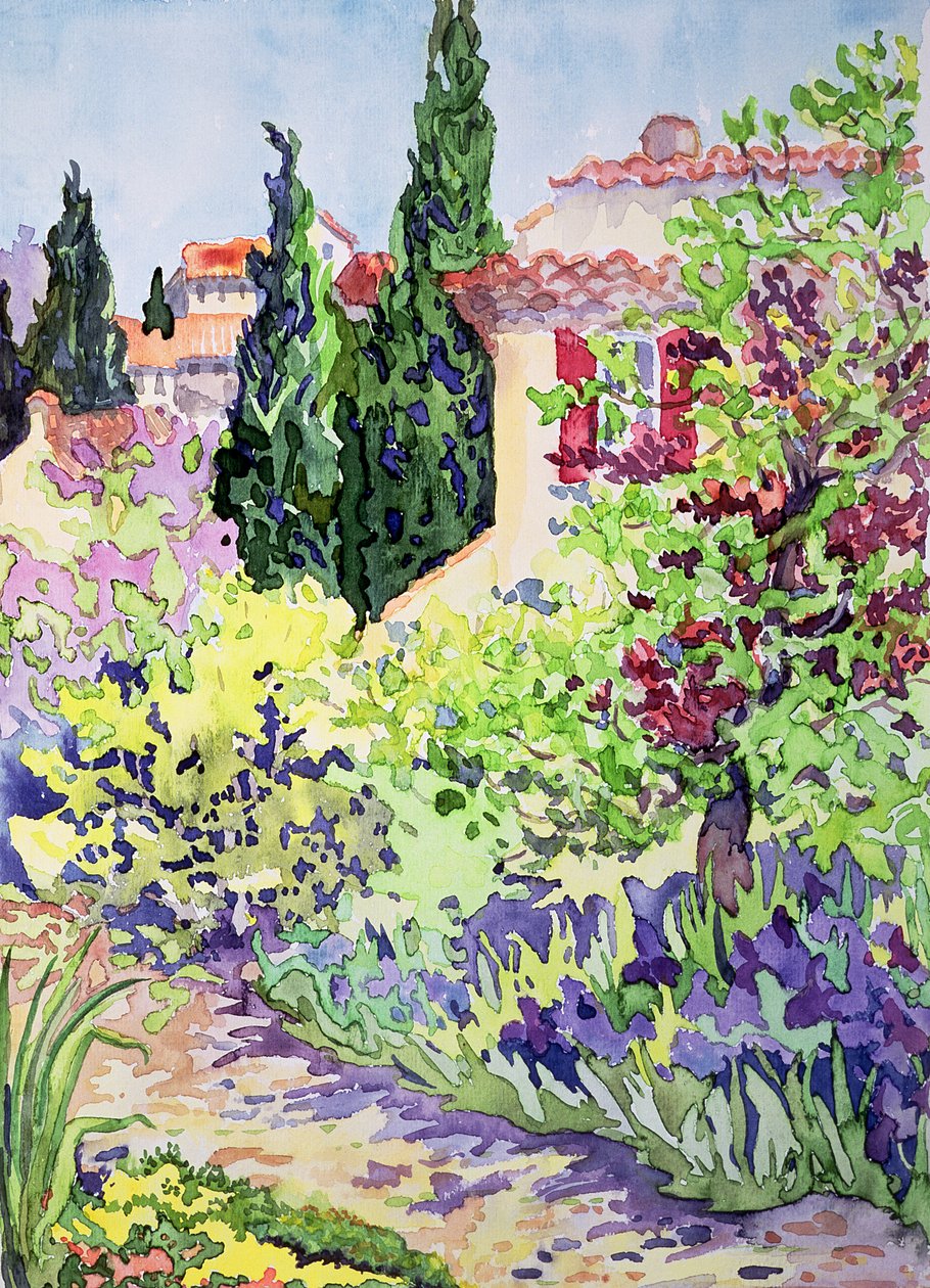 Vaison