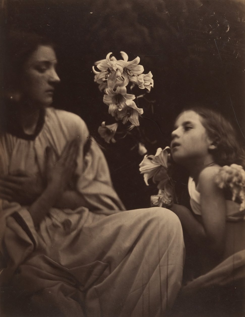 Bir Çalışma, 1865-66. by Julia Margaret Cameron