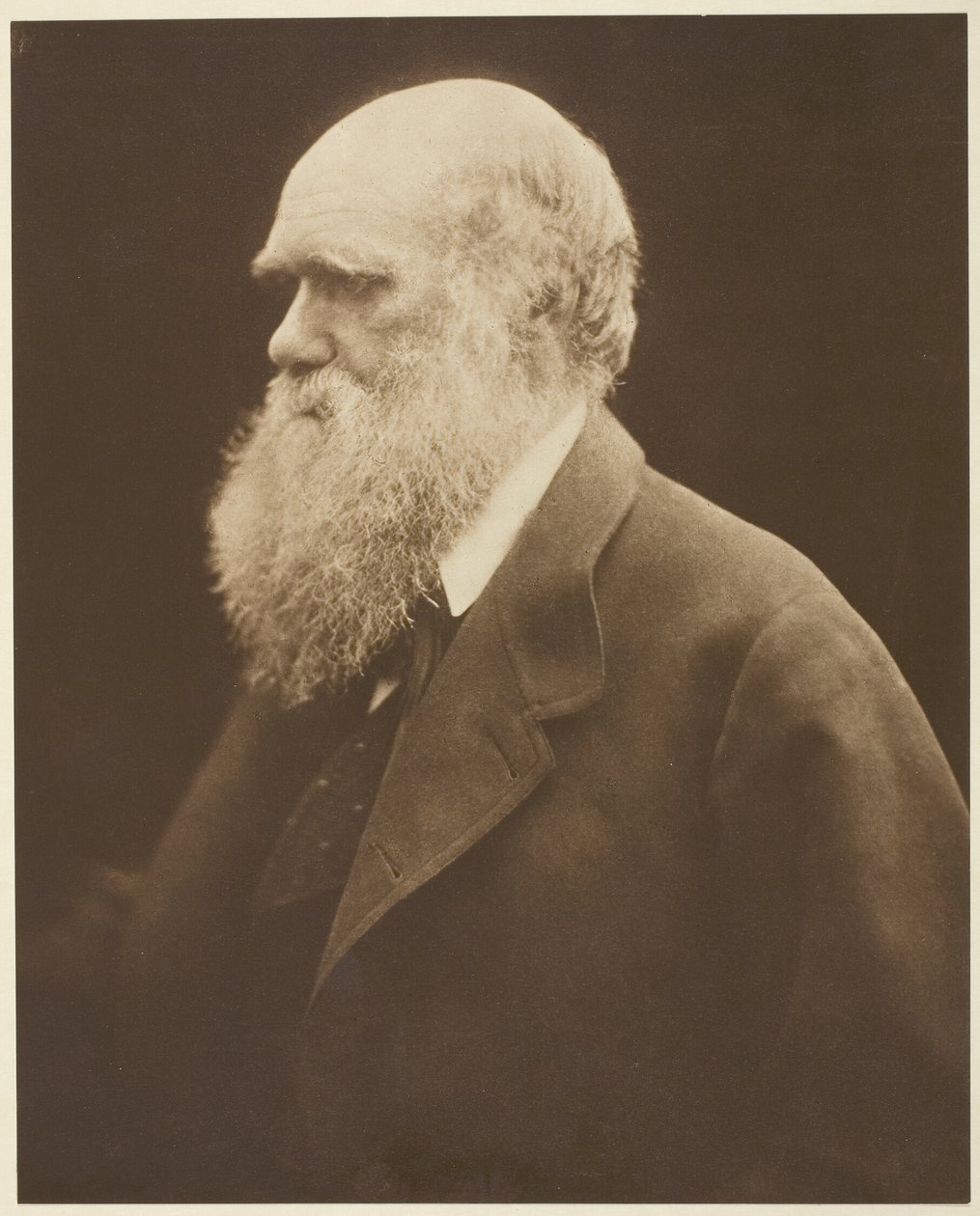  by Julia Margaret Cameron