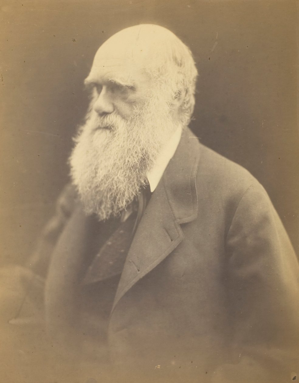 Charles Darwin, 1868. by Julia Margaret Cameron