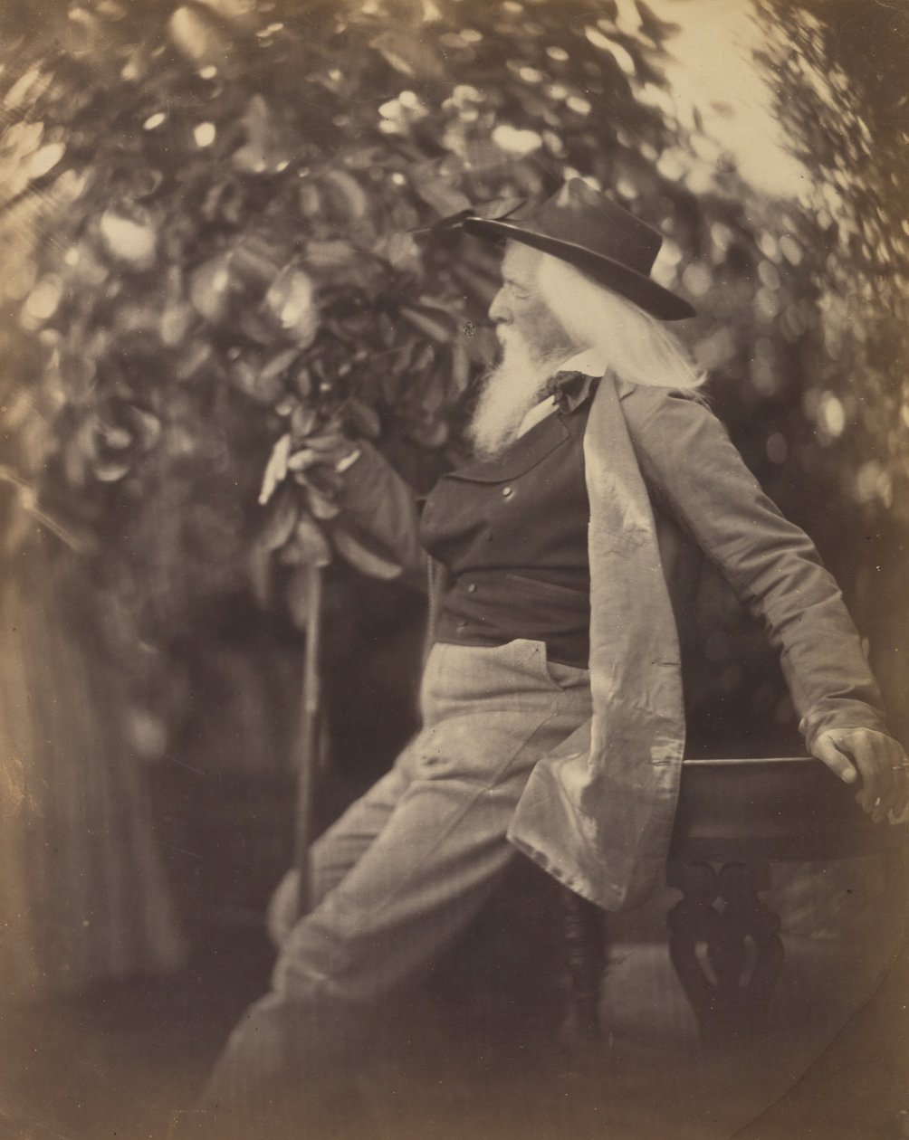 Charles Hay Cameron, Av., Tatlı Sudaki Bahçesinde, 1865-67. by Julia Margaret Cameron