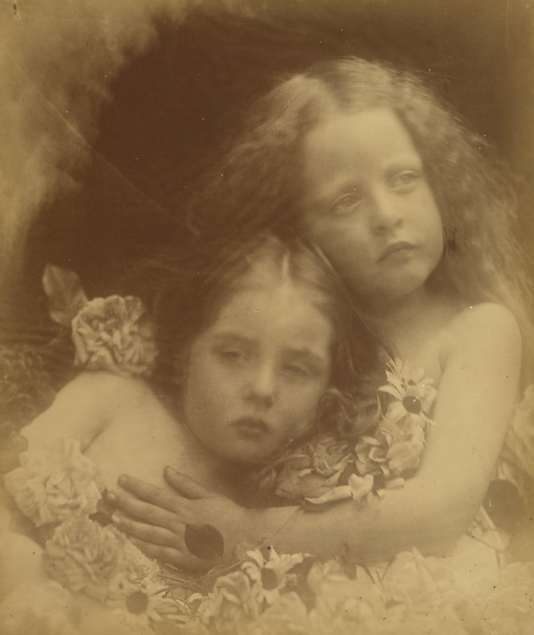 İngiliz Çiçekleri, 1873. by Julia Margaret Cameron