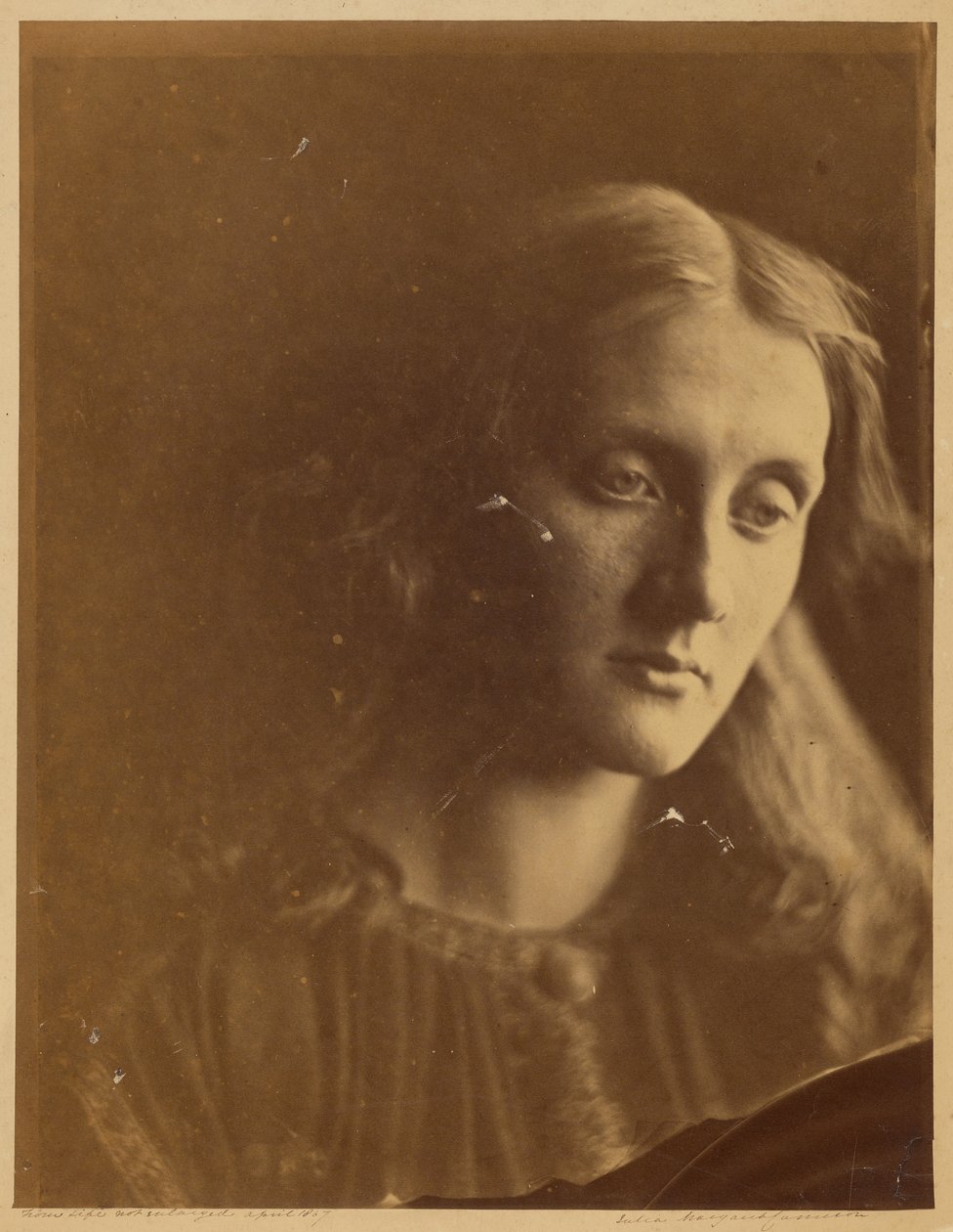  by Julia Margaret Cameron