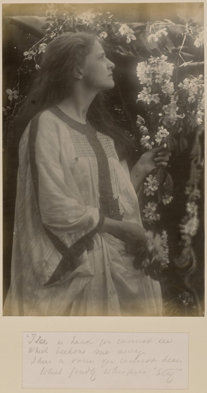  by Julia Margaret Cameron