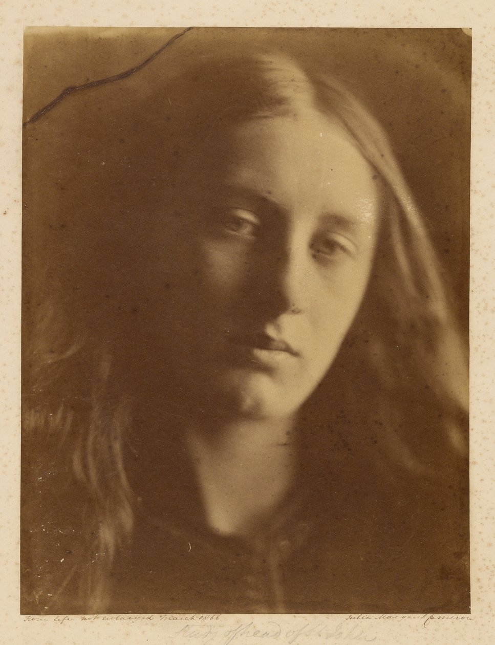  by Julia Margaret Cameron