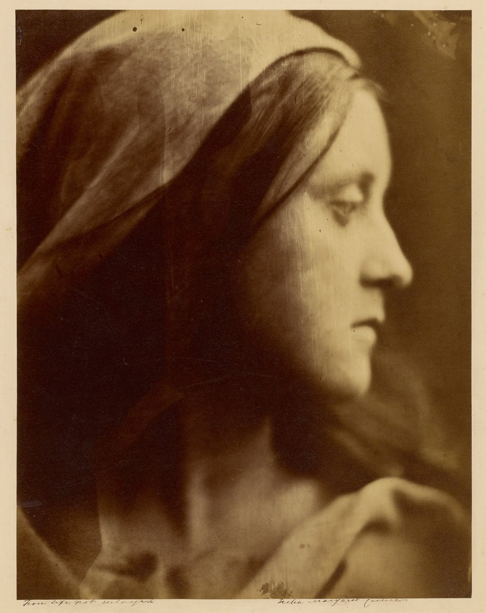  by Julia Margaret Cameron