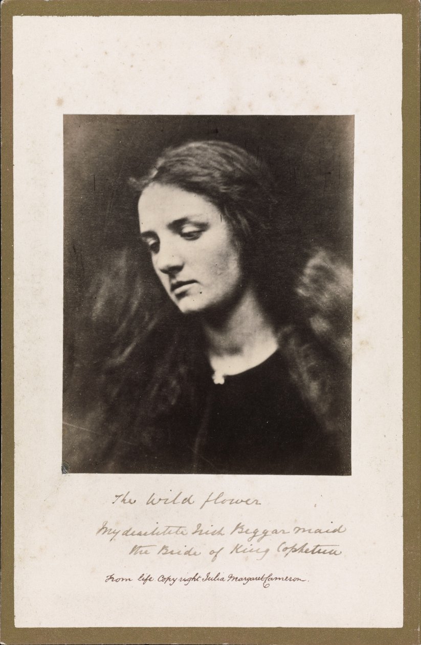 Yabani Çiçek by Julia Margaret Cameron