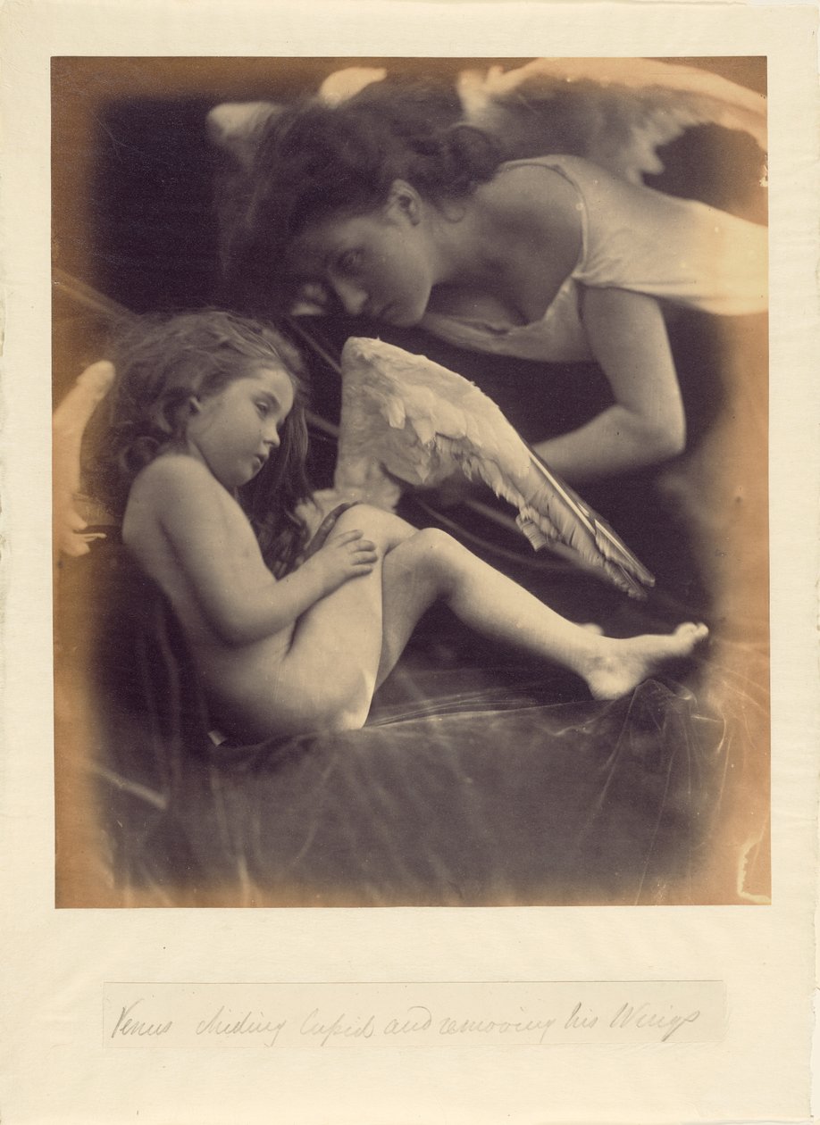  by Julia Margaret Cameron