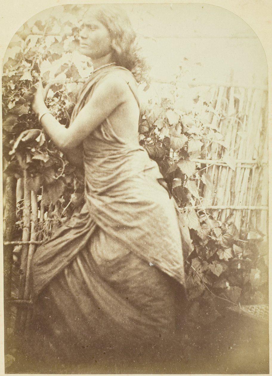 Kadın, Seylan by Julia Margaret Cameron
