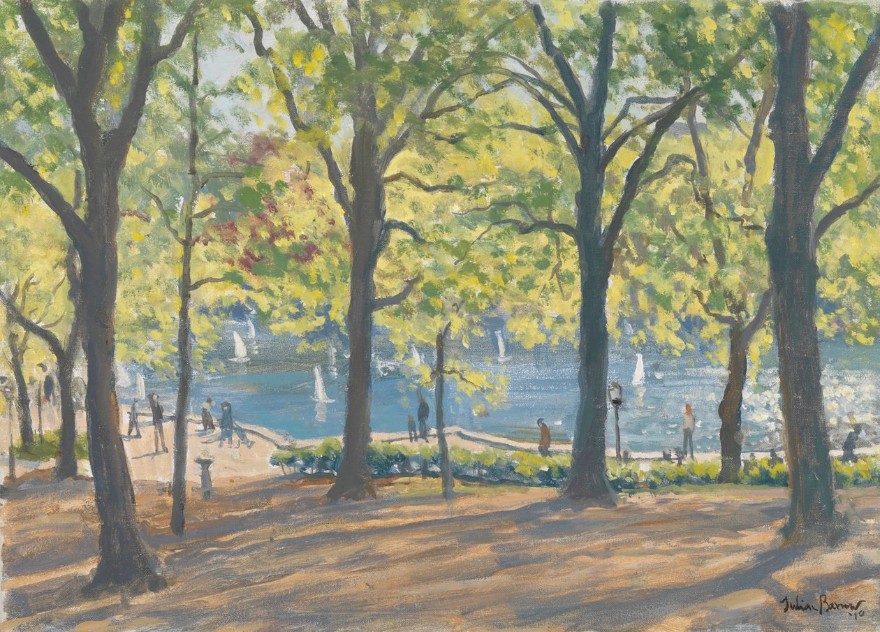 Central Park, New York, 2010 by Julian Barrow
