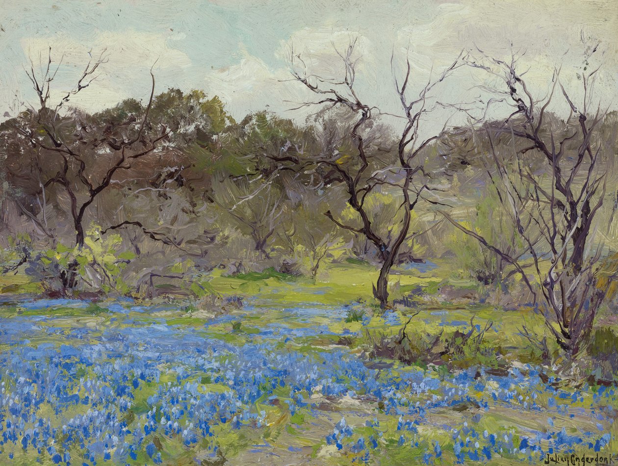 Erken İlkbahar - Bluebonnets ve Mesquite by Julian Onderdonk
