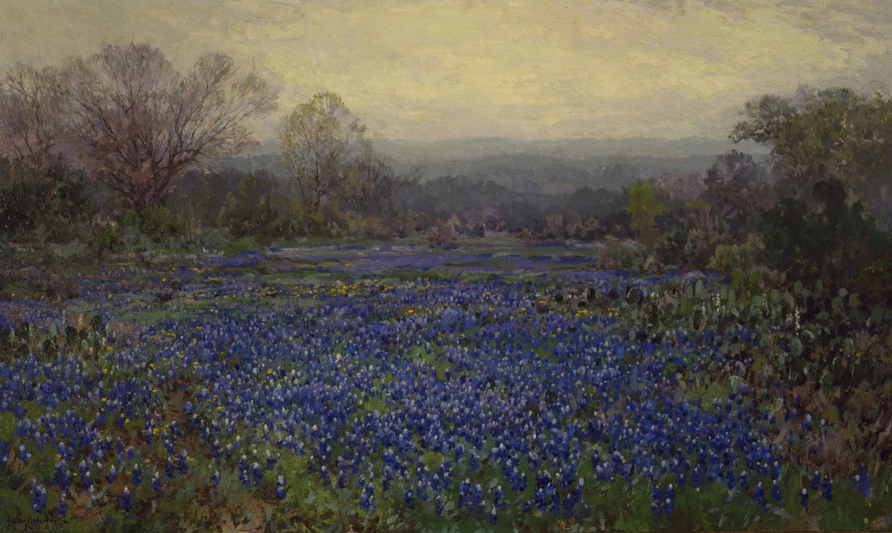 İsimsiz - Bluebonnets Tarlası (tuval üzerine yağlı boya) by Julian Onderdonk