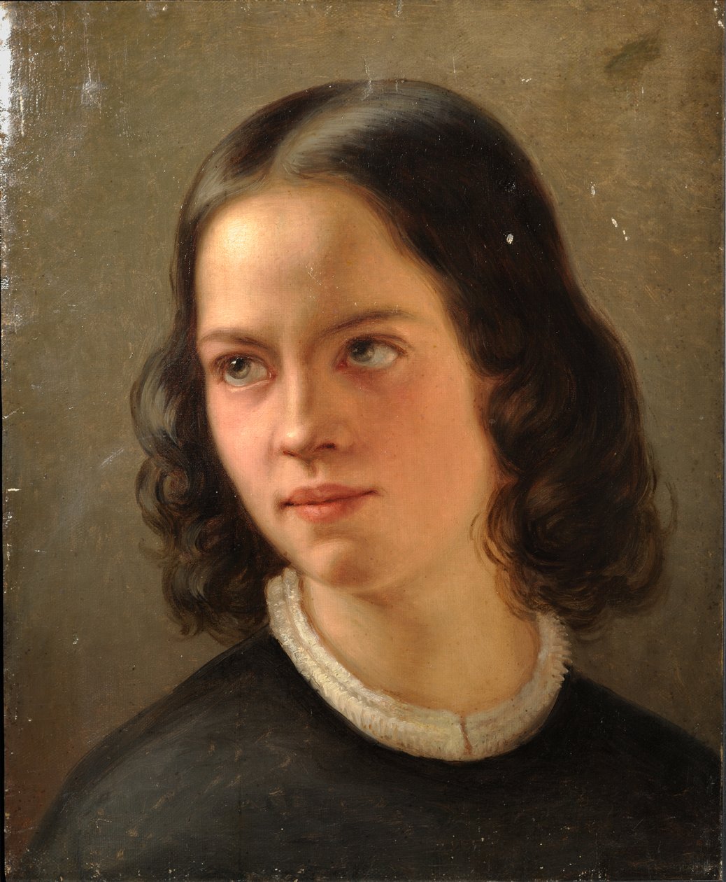  by Julie Wilhelmine Hagen Schwarz