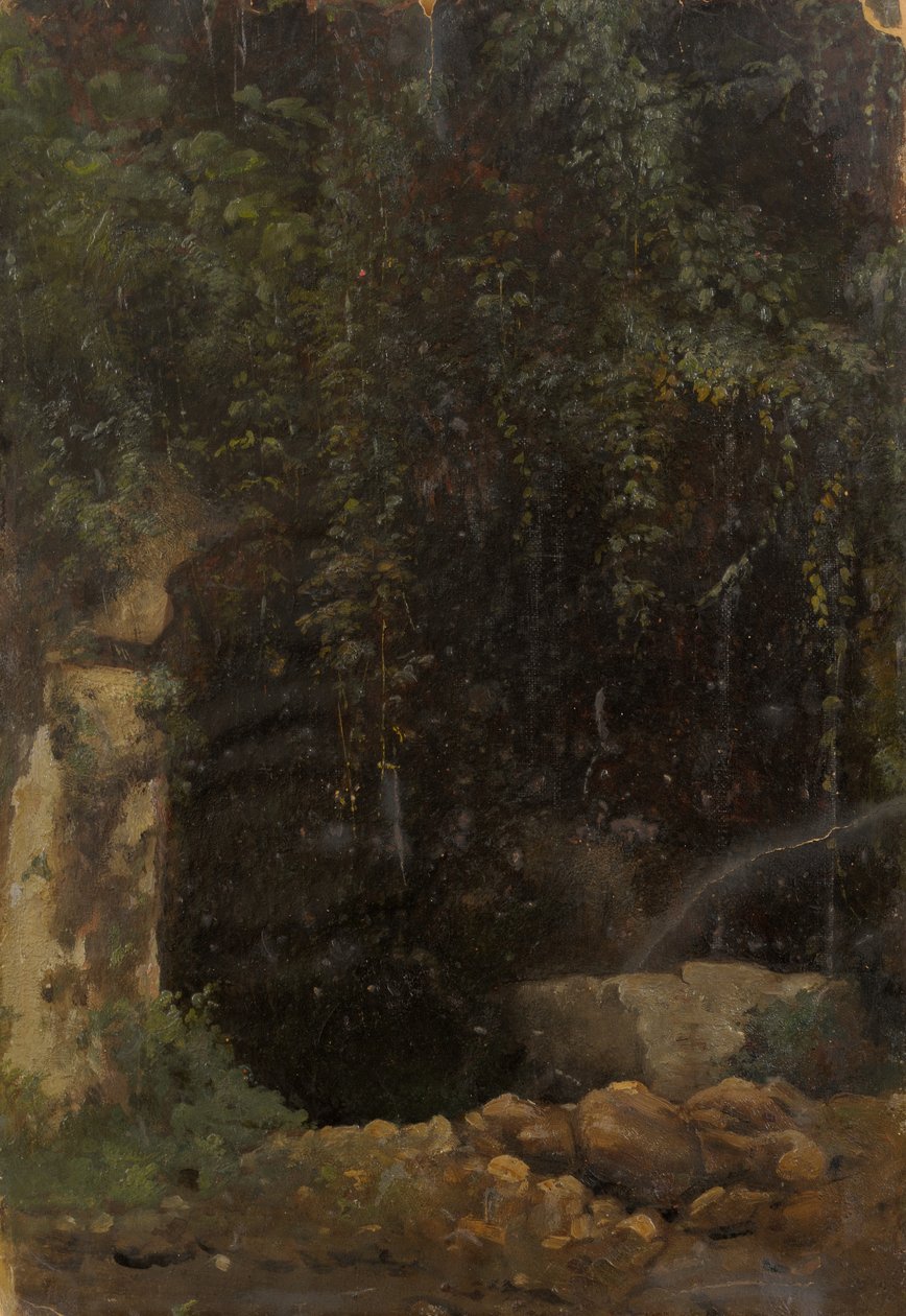  by Julie Wilhelmine Hagen Schwarz