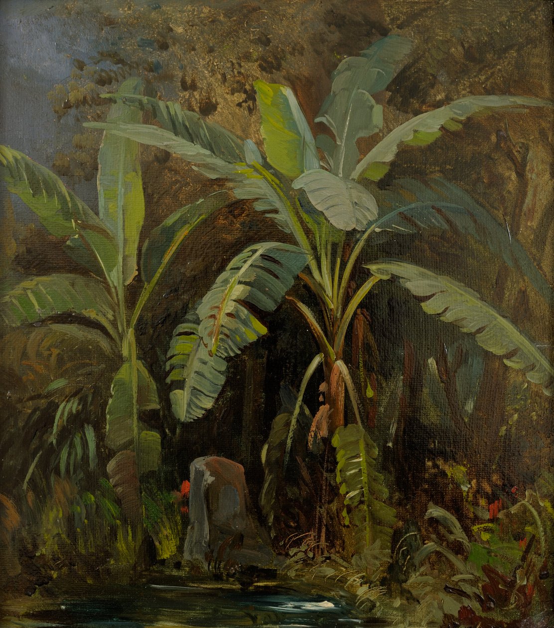  by Julie Wilhelmine Hagen Schwarz