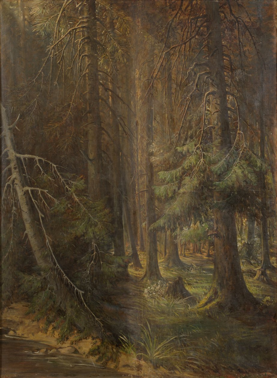  by Julie Wilhelmine Hagen Schwarz