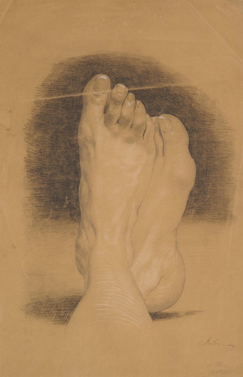  by Julie Wilhelmine Hagen Schwarz