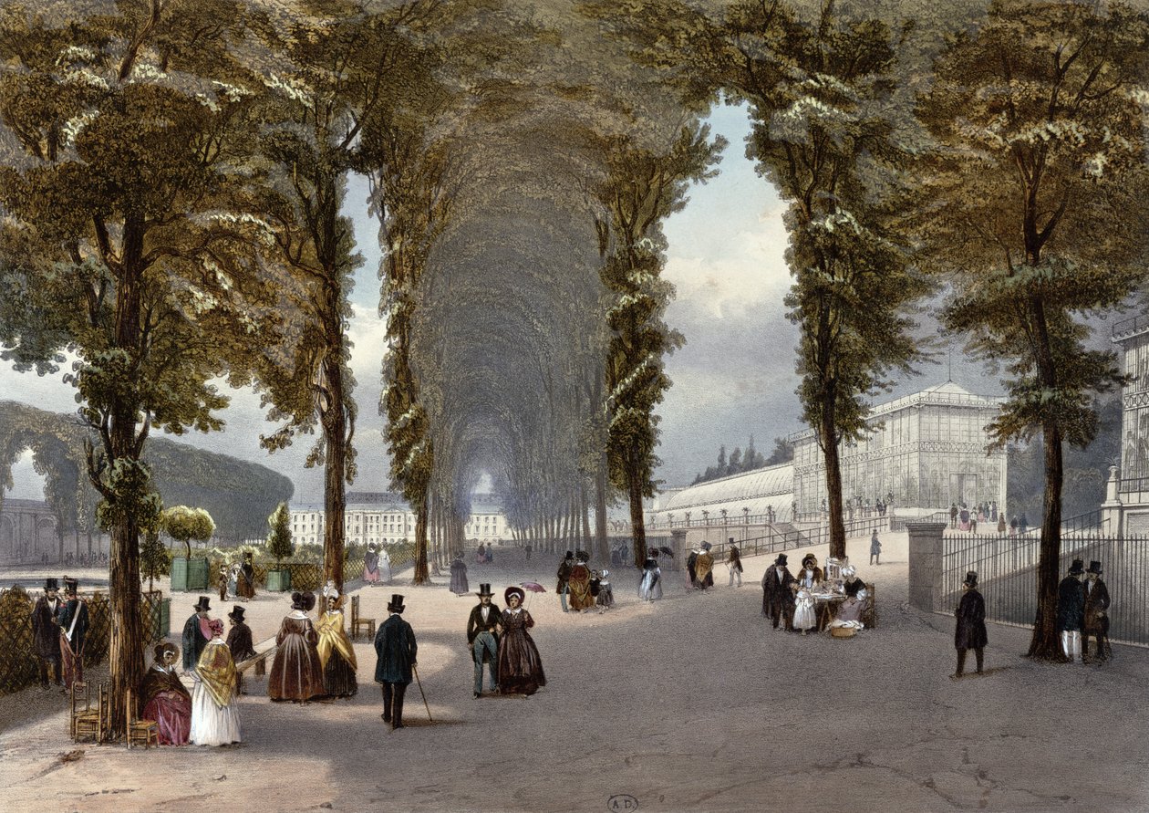 Paris manzarası: Jardin des Plantes, 1840 dolayları by Jean Jacottet
