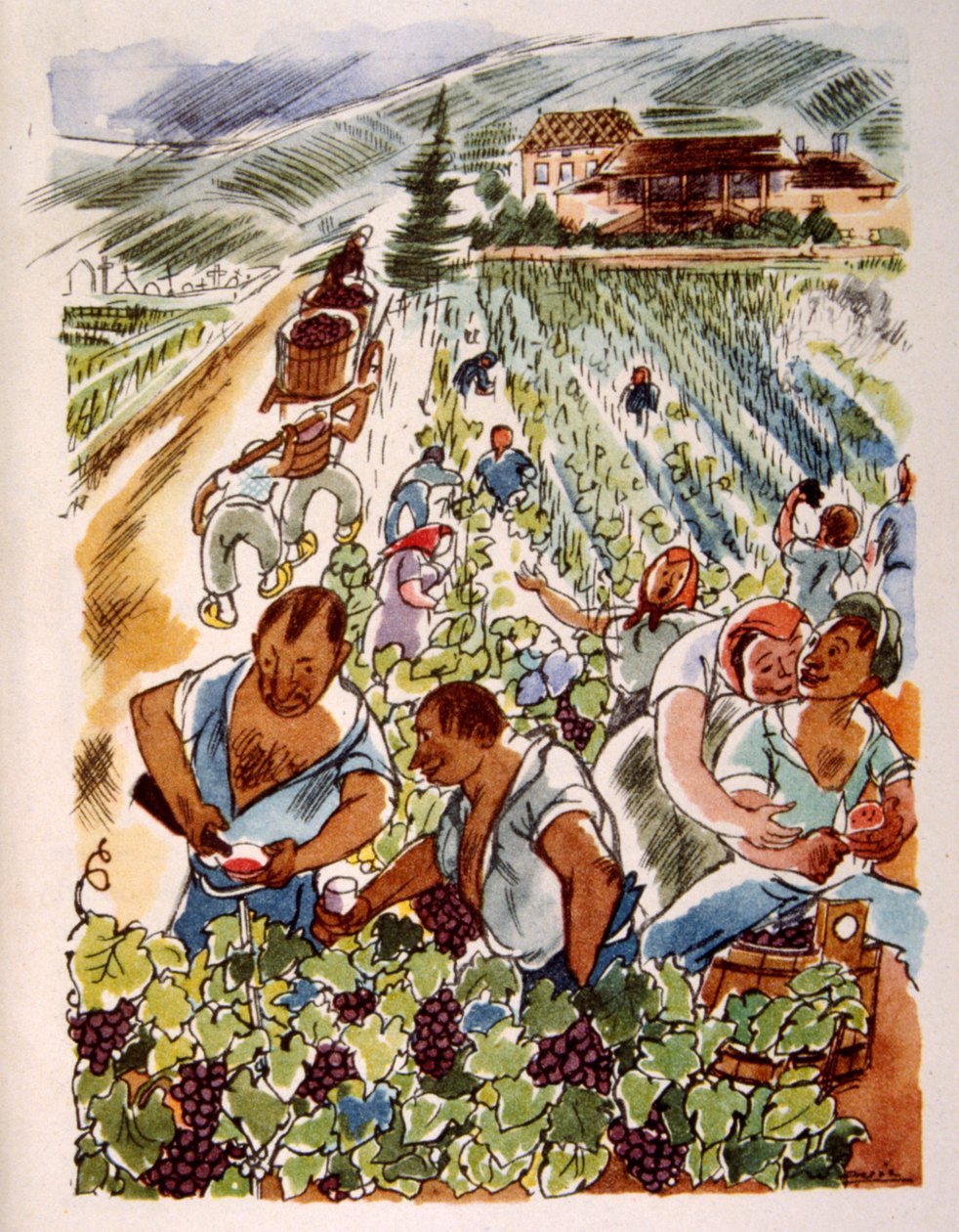 Fransız Üzüm Bağı. 1944. Julien Pavil'in İllüstrasyonu by Julien Pavil