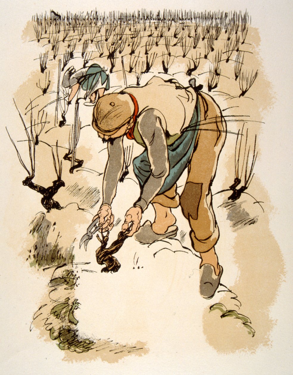 Esprili Şarap İllüstrasyonu 1946. Julien Pavil'in çizimi by Julien Pavil
