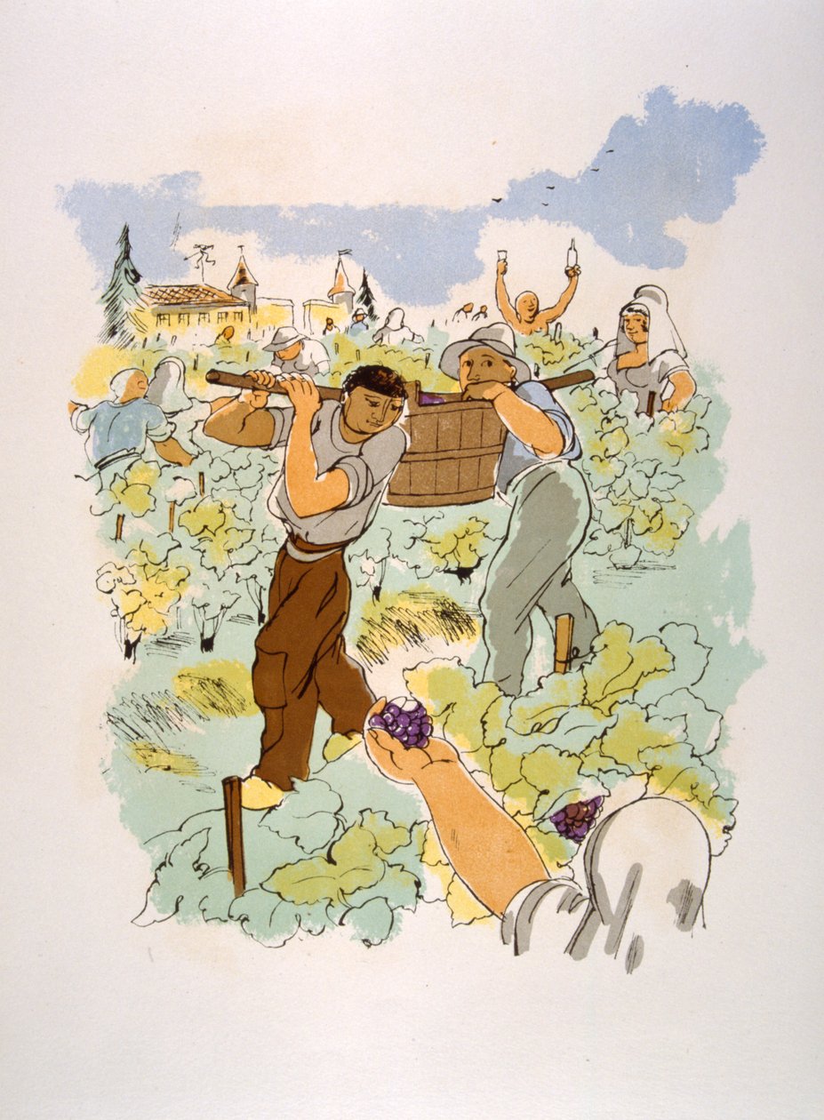 Esprili Şarap İllüstrasyonu 1946. Julien Pavil'in çizimi by Julien Pavil