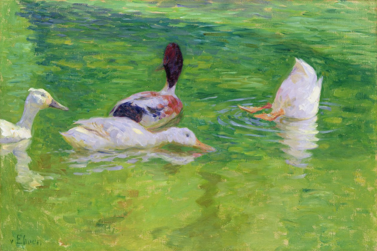 Ördekler, c.1897 by Julius August Friedrich Theodor von Ehren