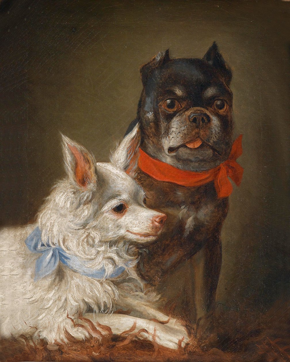 Köpek portresi by Julius Hamburger