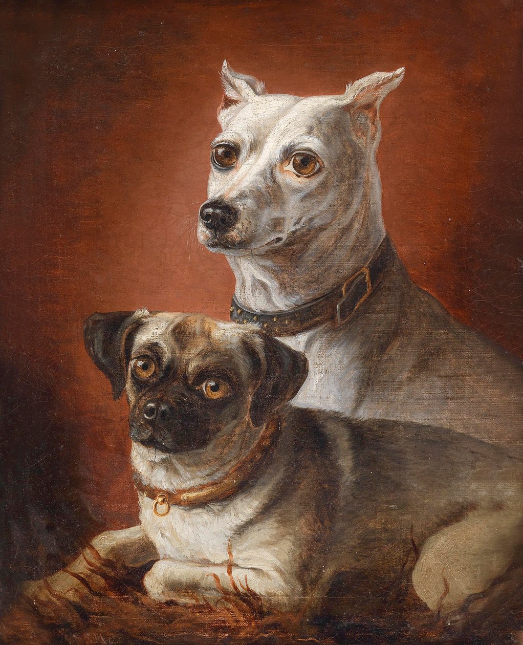 Köpek portresi by Julius Hamburger