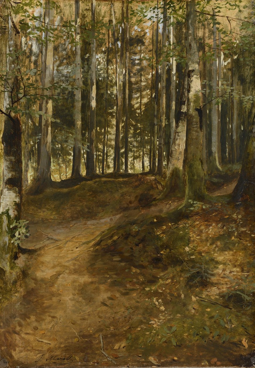 Orman Yolu by Julius Mařák