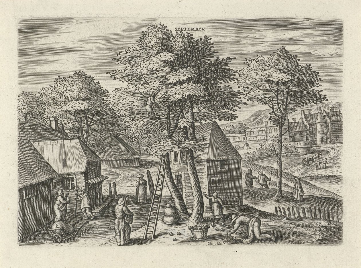 Eylül (nesne üzerine başlık) On iki ay (dizi başlığı) by Julius Goltzius