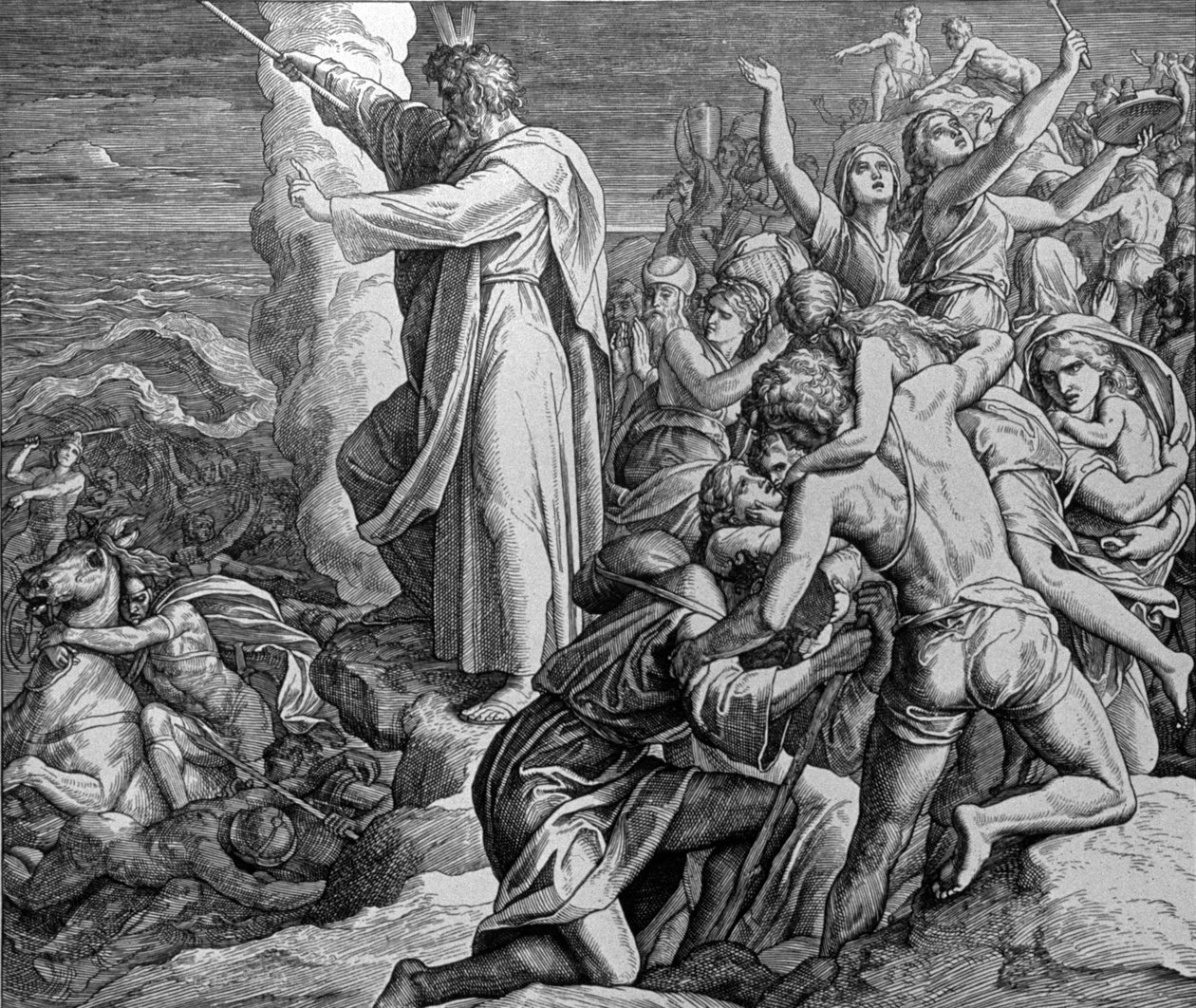 MUSA by Julius Schnorr von Carolsfeld