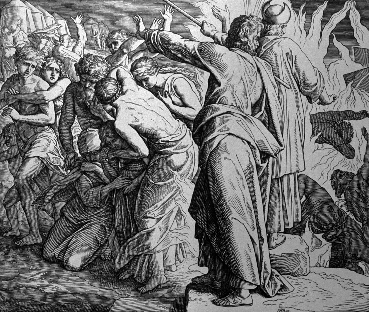 MUSA by Julius Schnorr von Carolsfeld