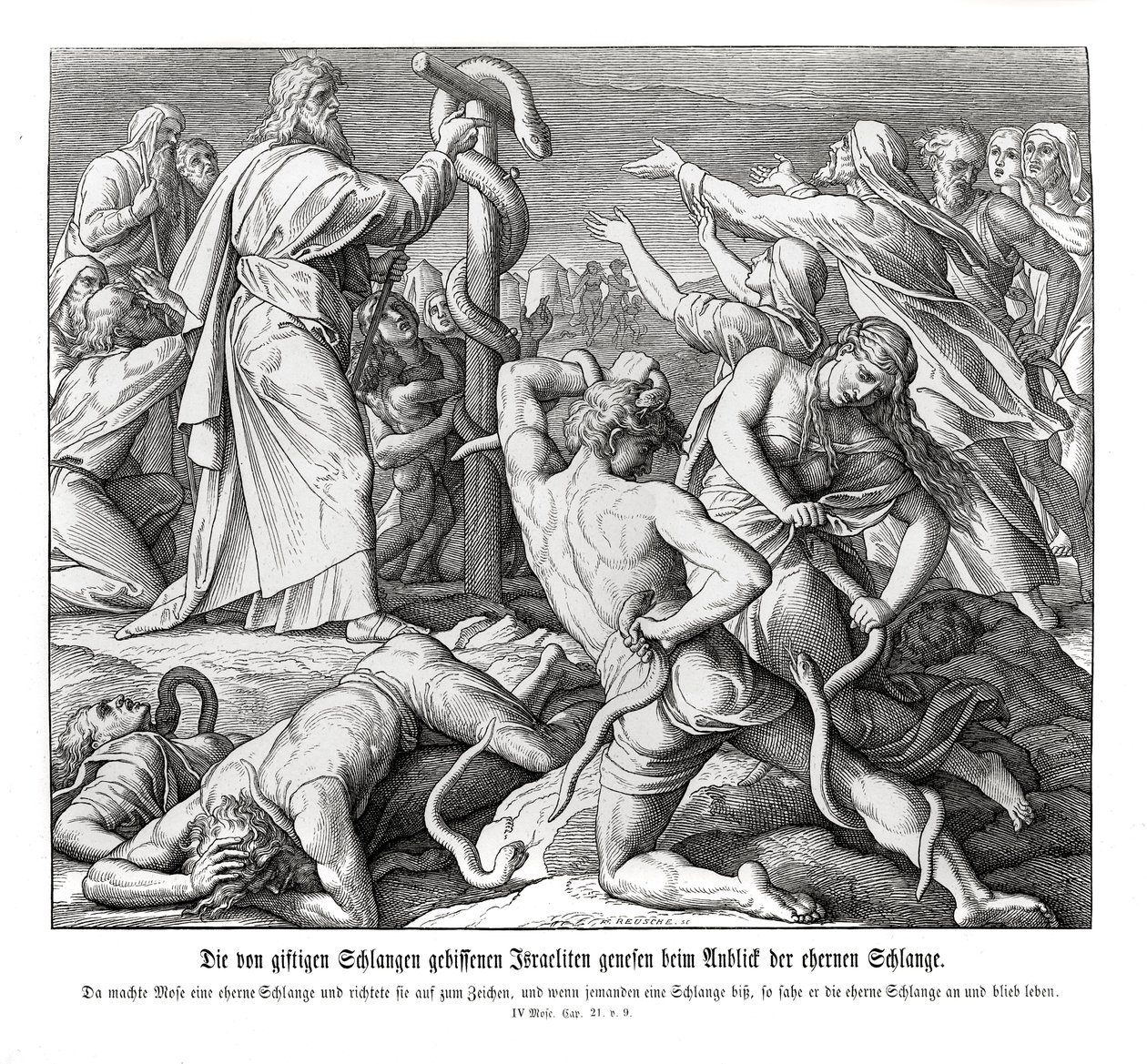 Musa ve tunçtan yılan, Numbers by Julius Schnorr von Carolsfeld