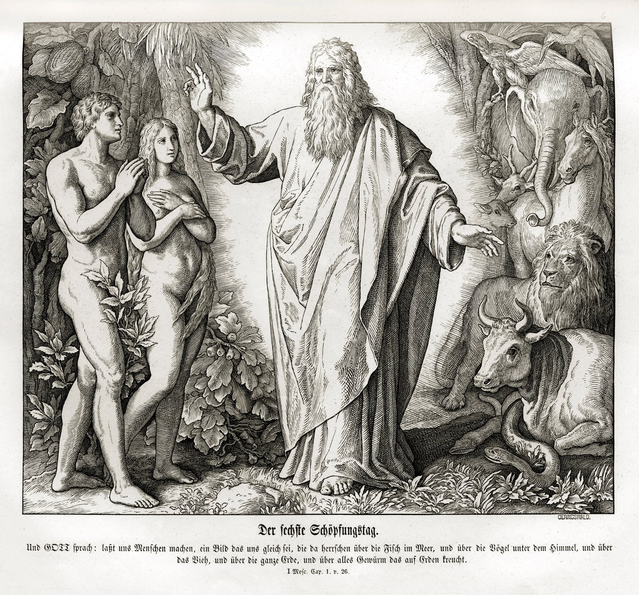 Yaratılışın altıncı günü, Genesis by Julius Schnorr von Carolsfeld