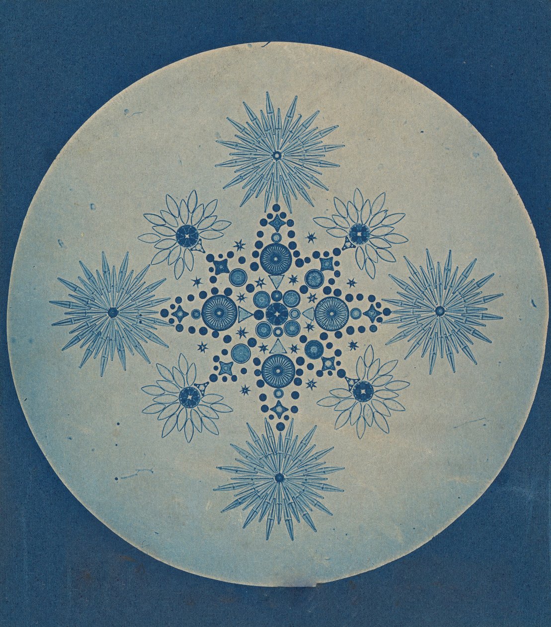 [Diatomların Frustules], ca. 1870. by Julius Wiesner.