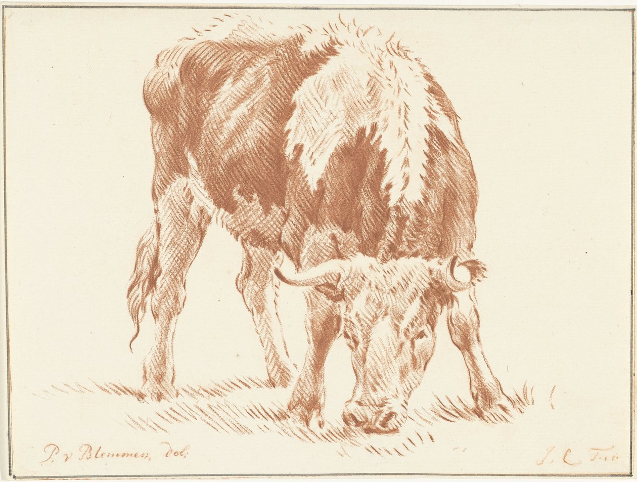 Teşekkürler by Jurriaan Cootwijck