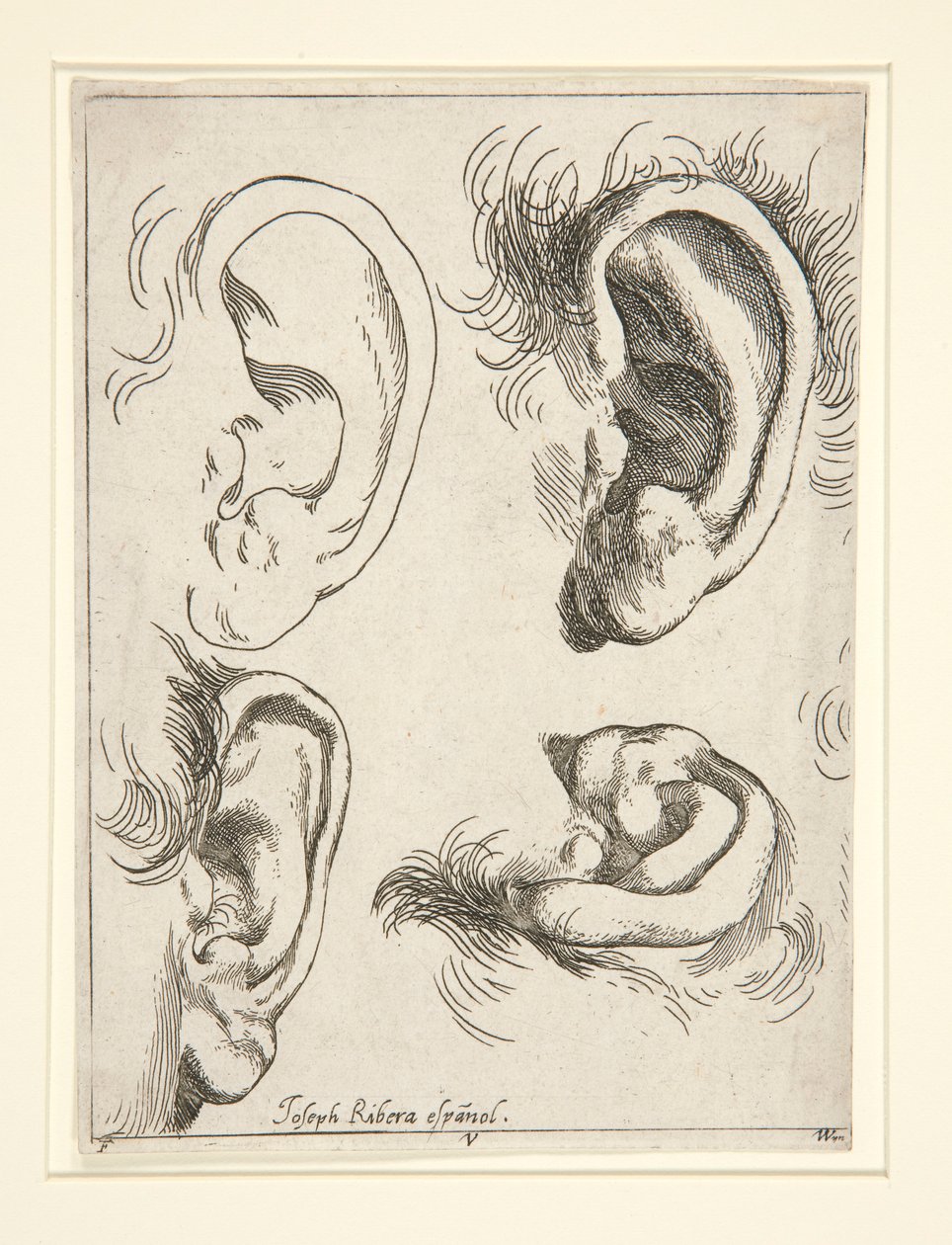 Dört Kulak Çalışmaları by Jusepe de Ribera