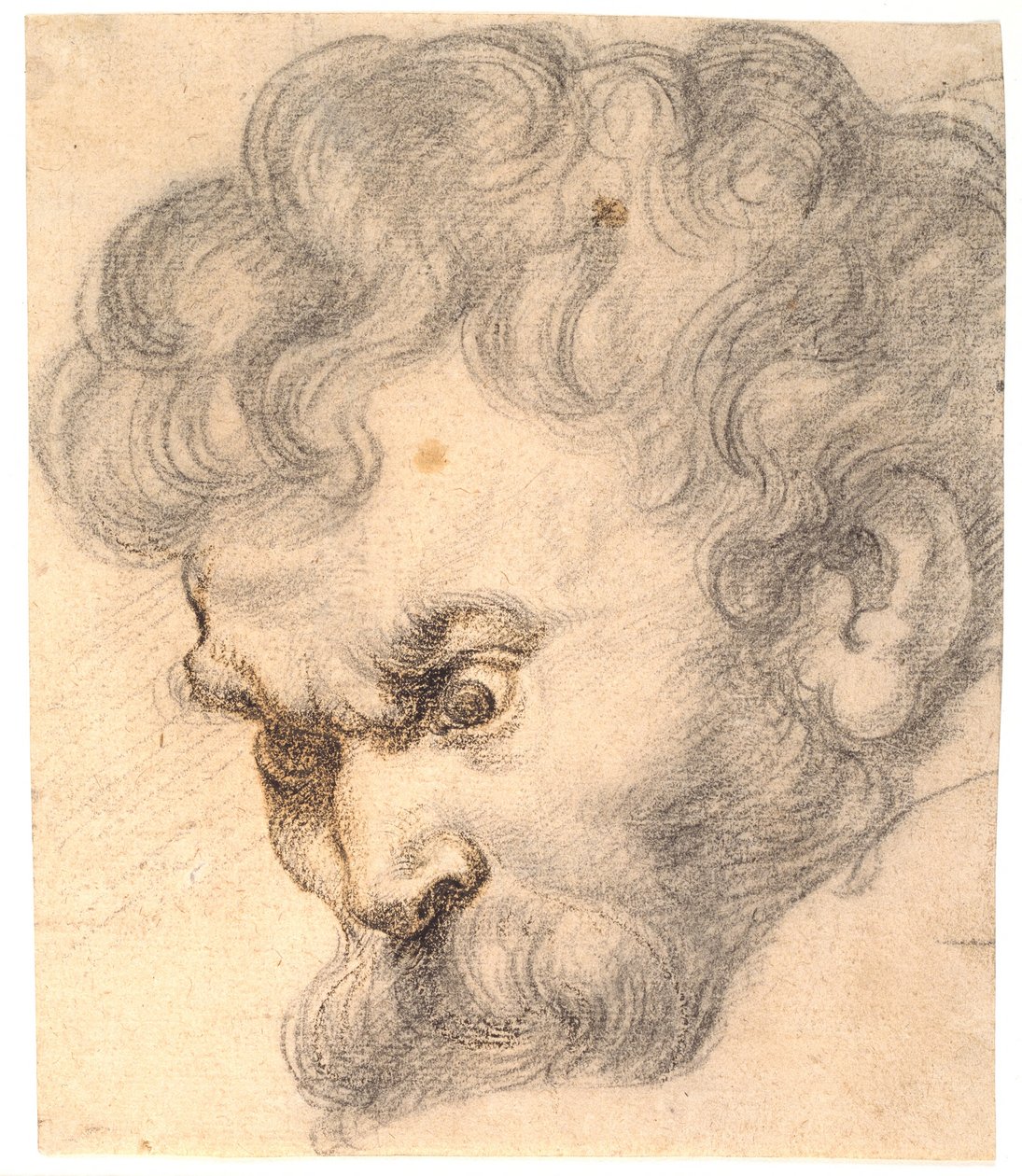 "Samson ve Aslan" dan çalışma. Samson